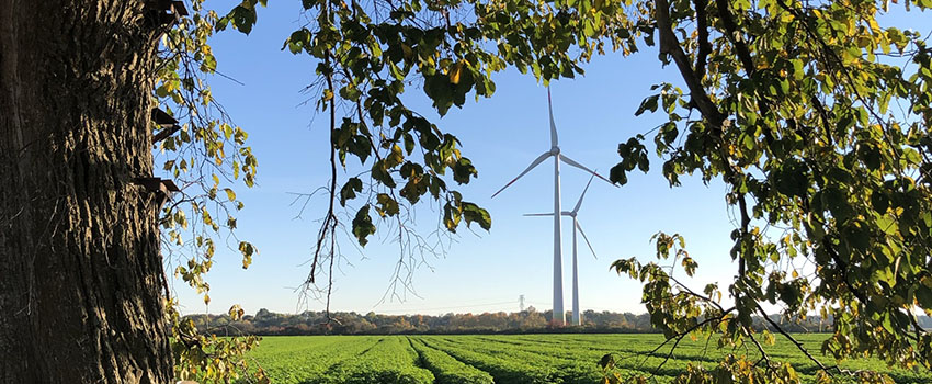 Windkraftanlagen in der Gemeinde Elbe-Parey